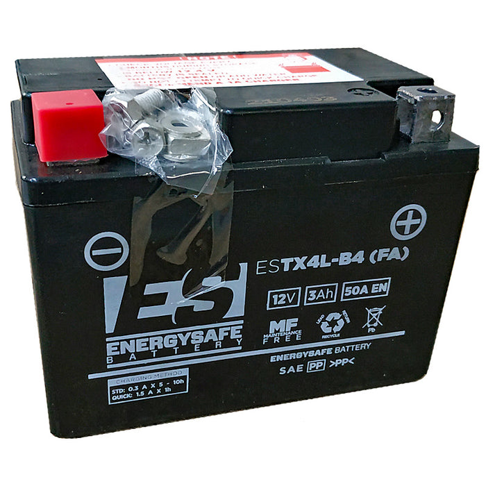 BATERIA ENERGYSAFE ESTX4L-B4 (PRECARGADA)