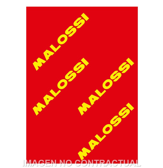 HOJA ELEMENTO FILTRANTE MALOSSI RED SPONGE