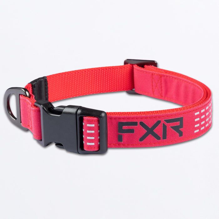DOG COLLAR 24-RAZZ/BLACK