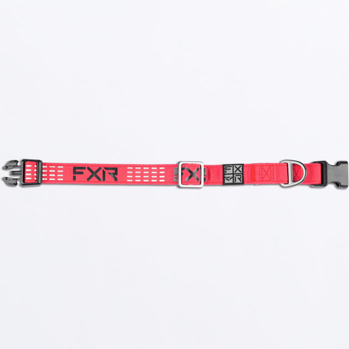 Dog_Collar_RazzBlack_243600-_2810_Detail