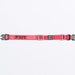 Dog_Collar_RazzBlack_243600-_2810_Detail