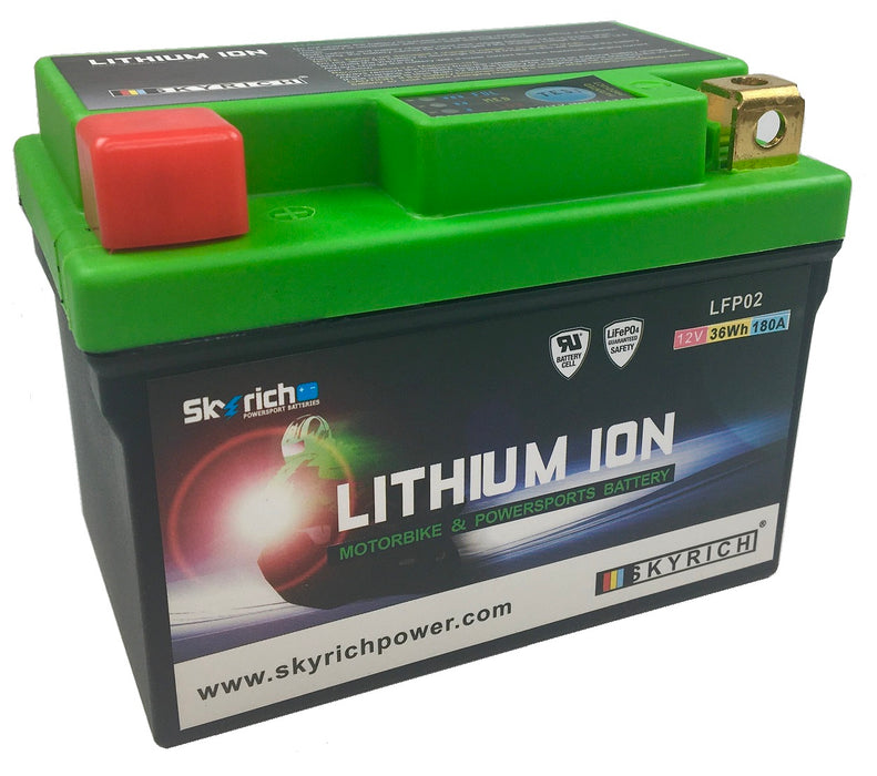 SKYRICH LFP02 LITHIUM BATTERY