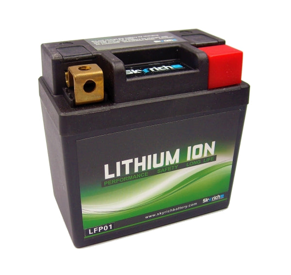 Battery Skyrich Lithium LFP01