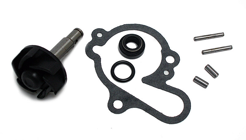 MINARELLI AM6 WATER PUMP REPAIR KIT